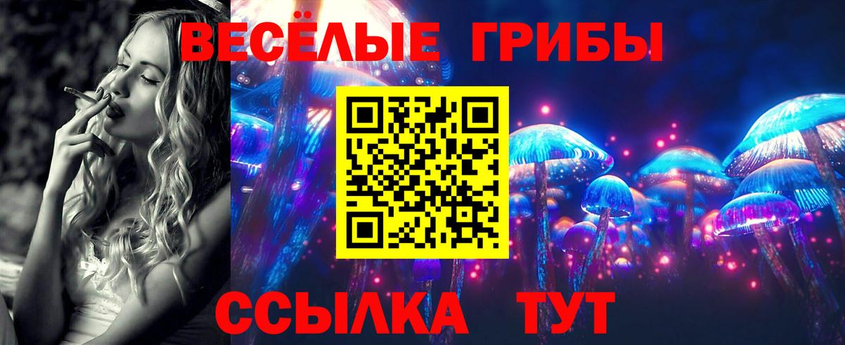 Галлюциногенные грибы мицелий  Вход с VPN  Десногорск  Псилоцибиновые грибы Psilocybine cubensis 